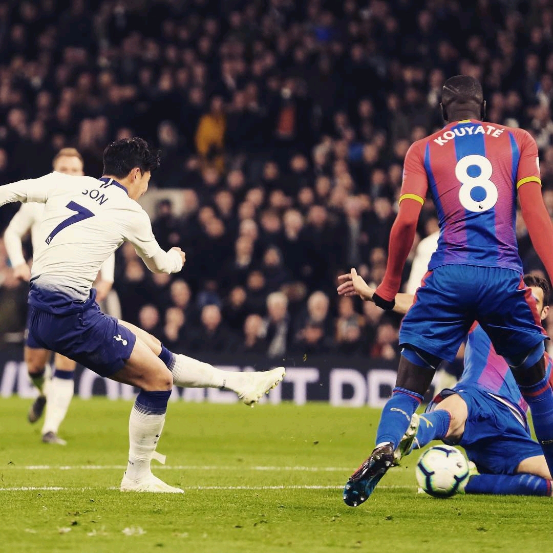 仅为他们的 仅为他们的