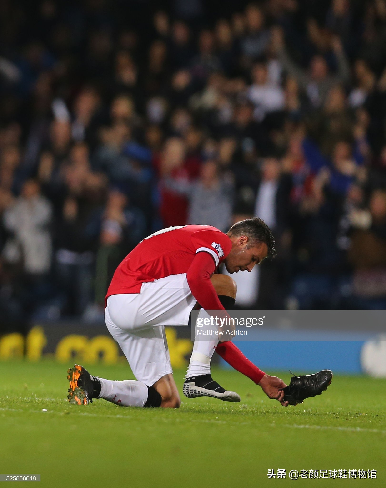 想的殿堂 想的殿堂